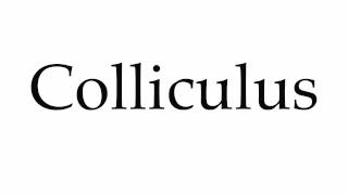 How to Pronounce Colliculus [upl. by Ynatterb]