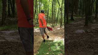 discgolf discgolflife discmania discmaniap3x disclife dangdiscgolf [upl. by Krispin]