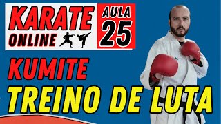 KARATE ONLINE  AULA 25  TREINO DE LUTA PARA CAMPEONATO  SHIAI KUMITE [upl. by Ilrebmik]