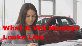 What a VIN Number Looks Like amp How do you find it on a vehicle  A simple guide [upl. by Adekram]