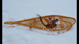 A few points about Snowshoes [upl. by Stoecker]