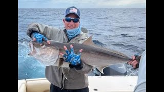 Amberjack attack with underwater footage [upl. by Lesya807]