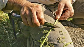 How To Make Natural Cordage From Bramble [upl. by Keheley]