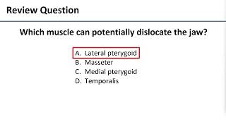 4 Temporomandibular Disorders [upl. by Nari649]