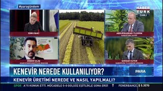 Kenevir nerede kullanılıyor  ASAM Kendir Enstitüsü Başkanı Erdem Ulaş [upl. by Florida]