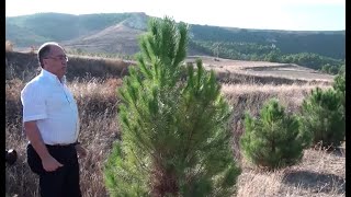 Garbage dump restoration through reforestation in Valladolid Spain with Groasis [upl. by Priebe672]