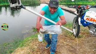 Increíble Trampa Para Peces con Botella  Trampa de Mojarras en Vivo Bajo el Agua [upl. by Lleret853]