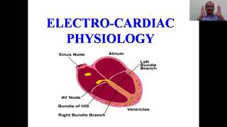 Electrophysiology Of Heart [upl. by Nnov]