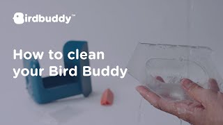 HowTo Wash Your Feeder – Bird Buddy Tutorial [upl. by Allyn]