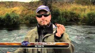 STEELHEAD FISHING DESCHUTES WITH KELLY GALLOUP [upl. by Prasad]