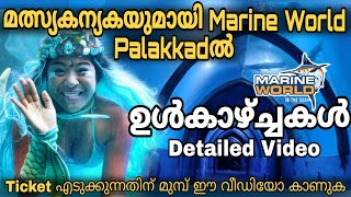 Marine World palakkadൽ  ഉൾകാഴ്ച്ചകൾ  Detailed Video Tunnel Aquarium  Kerala  Kl9 Amigos  Aju [upl. by Sexton69]