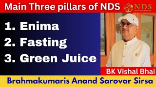 Basic information about NDS three pillars  1 Enima 2 Upvas 3 Green Juice [upl. by Ellicott669]