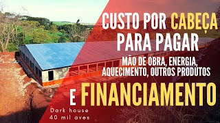 QUANTO POR CABEÇA PARA PAGAR TODOS OS CUSTOS DE 1 AVIÁRIO DESSE PORTE frango de corte [upl. by Hearn799]