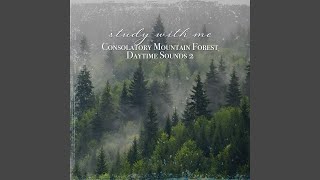 Consolatory Mountain Forest Daytime Sounds Pt 12 [upl. by Utimer407]