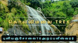 Part 22 கொல்லிமலை TREK புளியஞ்சோலை to அறப்பளீஸ்வரர் கோயில் [upl. by Atat528]