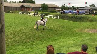 NIRE VALLEY EVIE  LOT 22 CLIFDEN PONY SALES – AUGUST 2021 [upl. by Yeltnarb]