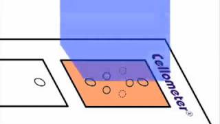 How Dualfluorescent AOEB Assays Work for Cell Concentration and Viability [upl. by Gnuhn484]