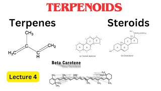 Terpenoids  Terpenes Steroids and Carotenoids lecture 4 in Urdu Hindi class 11th [upl. by Arod]