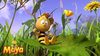 Maya The Bee  Movie 2  First Teaser Trailer [upl. by Eresed]