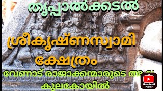 ഗംഭീരമായ ശ്രീകോവിൽ kerala hindu templeheritage palace [upl. by Salta687]