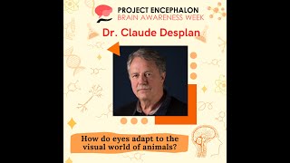 How do eyes adapt to the visual world of animals  Dr Claude Desplan [upl. by Bartolome]