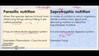 Parasitic vs Saprotrophic Nutrition [upl. by Ilenna714]