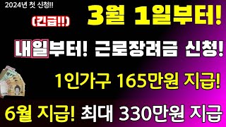 긴급오늘부터 3월 1일 첫 신청 6월 지급 근로장려금 최대 330만원 현금지급 근로장려금 자격조건 신청방법등등 공개 정부지원금 330만원지급 현금지급 [upl. by Bravar]