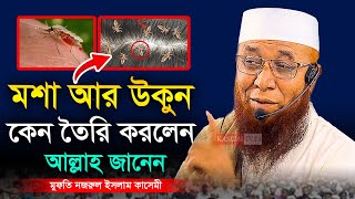 মশা আর উকুন কেন তৈরি করলেন আল্লাহ । মুফতি নজরুল ইসলাম কাসেমী । Mufti Nazrul Islam Kasemi [upl. by Darcey]