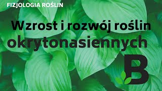 Wzrost i rozwój roślin okrytonasiennych  FIZJOLOGIA roślin  KOREPETYCJE z BIOLOGII  277 [upl. by Ballou]