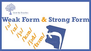 Strong and Weak Forms in English [upl. by Adnov]