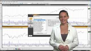 Navigating Instrument Lists in MetaStock 12 [upl. by Araic3]