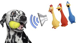 This Sound Makes Dogs Go Crazy [upl. by Snyder]