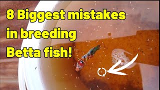 Why Betta fish breeding fail  8 Mistakes to avoid [upl. by Roland]