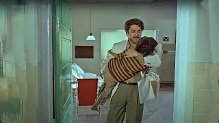 ഈ ചിത്രത്തിലെ ഏറ്റവും ഹൃദയസ്പർശിയായ രംഗം  Mammootty Evergreen Scene  Pappayude Swantham Appoos [upl. by Ellebanna40]