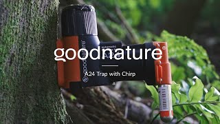 Goodnature A24 Trap With Chirp [upl. by Winn]