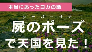 ヨガレッスン中に本当にあった話～シャバーサナ（屍のポーズ）で天国へ [upl. by Selhorst543]