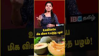 Yubari King Melon  உலகிலேயே மிக விலை உயர்ந்த பழம்  One Minute Video yubarimuskmelon ibctamil [upl. by Iramat]