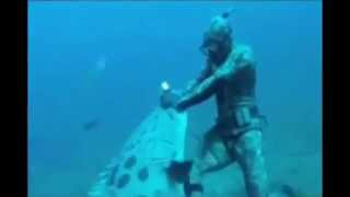 Giant Goliath Grouper Attacks Diver who is Spearfishing [upl. by Olathe]