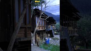 My Wife Manali Hirni Old Style Devdar Wooden Home 😎shortsfeed nature travel shorts manali reel [upl. by Schertz]