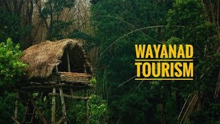 Wayanad tourism  Documentary  Tourist attractions and stories [upl. by Sirromed]