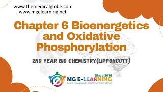 Chapter 6 Bioenergetics and Oxidative Phosphorylation Carbohydrates and Metabolism Lippincott [upl. by Ping]