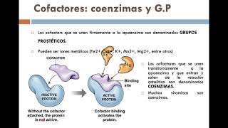 CLASE VIRTUAL 2Cofactores Coenzimas y Grupos Prostéticos [upl. by Alletsirhc17]