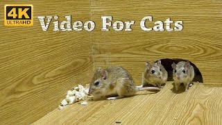 CAT TV  Mice Video For Cats To Watch amp Enjoy  Entertainment For Cats To Watch Mice  4K UHD [upl. by Delmore]