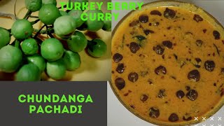 Chundanga PachadiTurkey berry curry [upl. by Nbi]