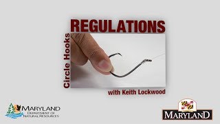 New Circle Hook Regulations  Maryland Department of Natural Resources [upl. by Ronoc]