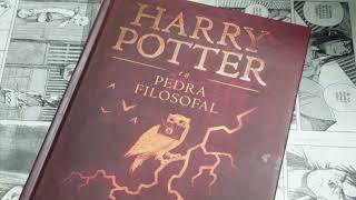 TDAH APHANTASIA autismo áudio livros para ajudar na terapia Harry Poter e a pedra filosofal Cap2 [upl. by Alahsal352]