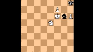 Beautiful Endgame by Polgar 2012 chess [upl. by Innor]