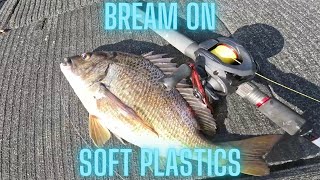 Scamander River Bream on Soft Plastics [upl. by Gregorio]