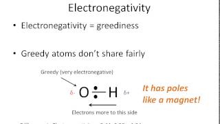 How To Tell if a Bond is Polar or Nonpolar the super easy way [upl. by Ariek]