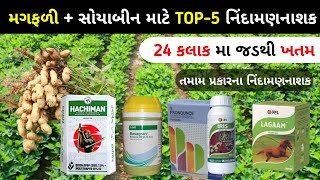 નિંદામણનાશક  માગફળીમા નિંદામણનાશક દવા  Best Herbicide for peanut  Weed control [upl. by Neddie]